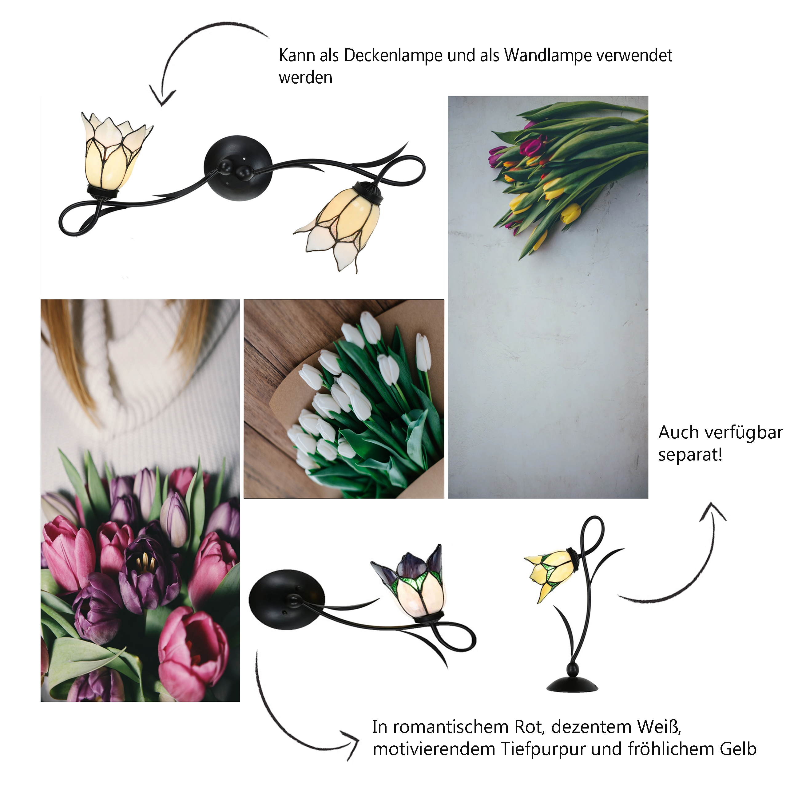 Die neuen Produkte 