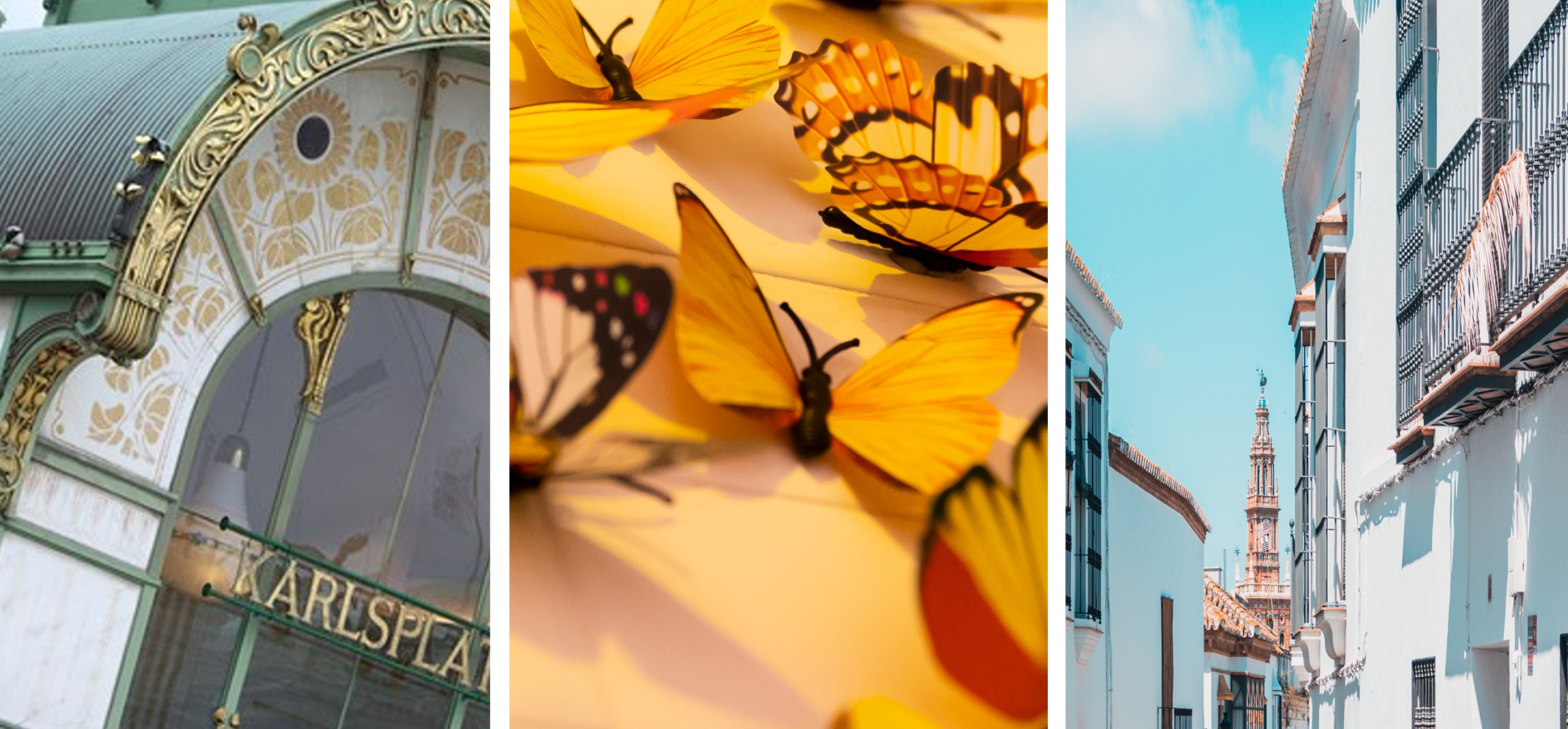  Foto's: Wikimedia Commons, Unsplash